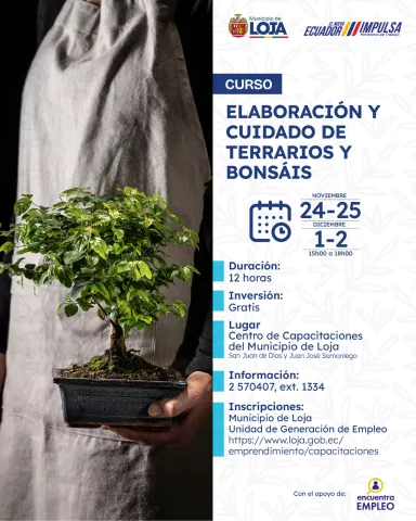 Terrarios y bonsáis 