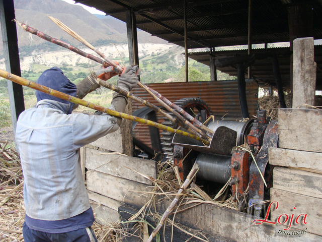 Extracción del jugo de caña