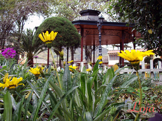 Jardines coloridos en la plaza central