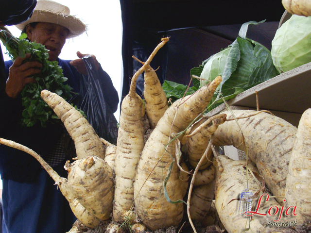 Tubérculos producidos con abono orgánico