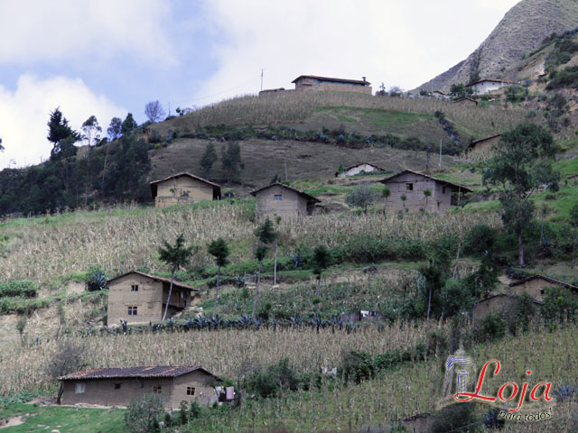 Casas rodeadas de cultivos