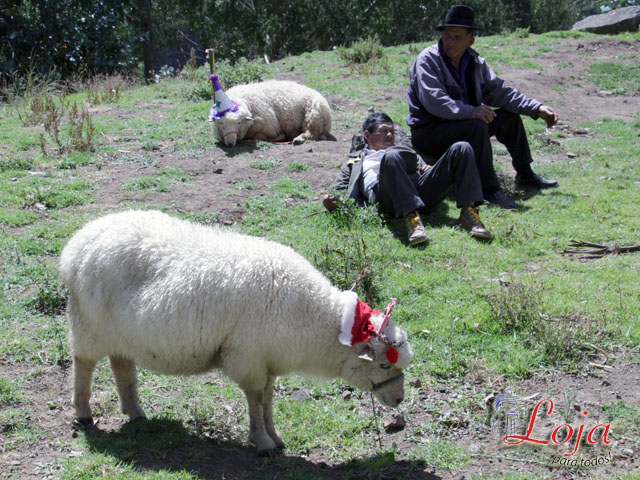 Por el clima los habitantes se dedican a la crianza de ganado bobino