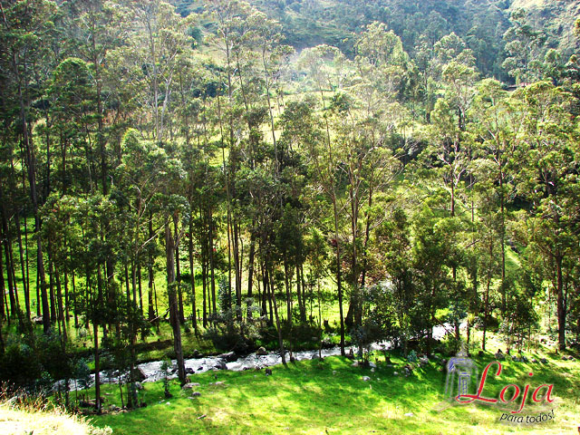 Quebrada complementa la belleza natural del lugar