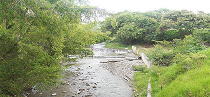 El Agua Que Ingresa A Las Reservas No Esta Contaminada Municipio